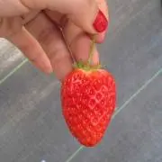 みー