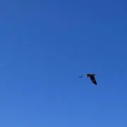mの画像