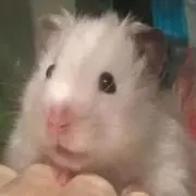 xyzの画像