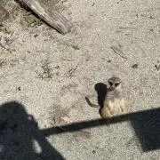 イユキの画像