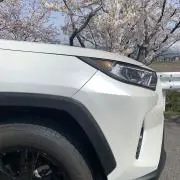 ＴＧ