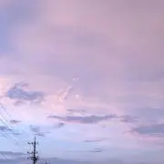 とりちゃんの画像