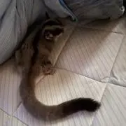 みお(*^^*)