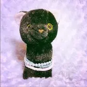 こぎさん