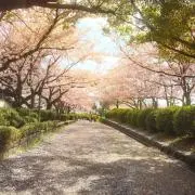 tkの画像
