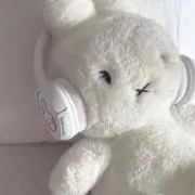 サクラの画像