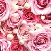 COSMOS❤︎の画像