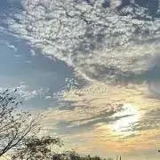 けんたの嫁の画像