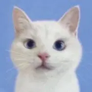 ぴ