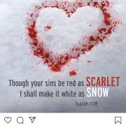 Scarlet Angelの画像