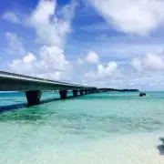 ココママ