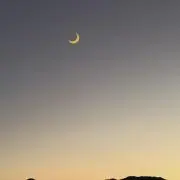 みほ