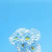katabaha0627の画像