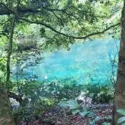 山田の画像
