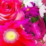 桜 *⚠️プロフ必読の画像
