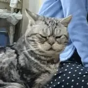 カジカジ