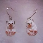 ぽりちゃの画像