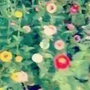 mmmの画像