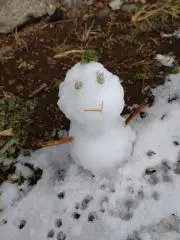 秋の画像