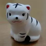 ホワイトタイガーの画像