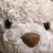 きちきちの画像