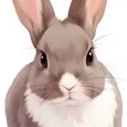 yumiの画像
