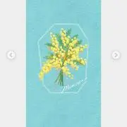 mimoza＊の画像