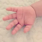 E.Iの画像