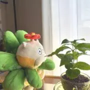 むーの画像