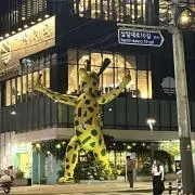 まるちゃんの画像