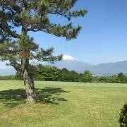 shokazunoz
