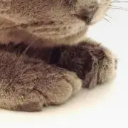 uunnii