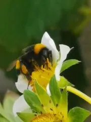 UTO2の画像