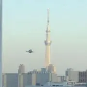 まるの画像