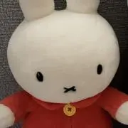 Totoの画像