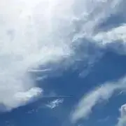 みりんの画像