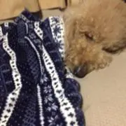 myoncoの画像