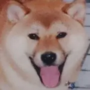 tanaの画像