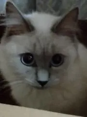 １２３４５