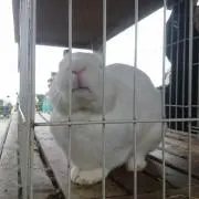四季涼太の画像