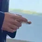 ぽんちゃの画像