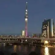 pisa homeの画像