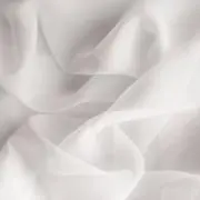 ちっちの画像
