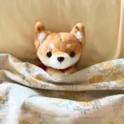 ひとみ