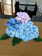はるの画像