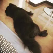 うたくん♪