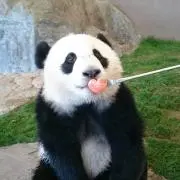 たかかん