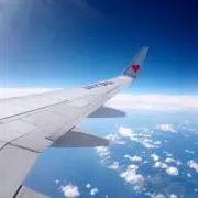 @mincの画像