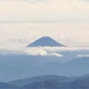 花柄