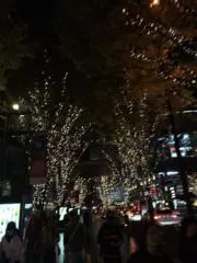 ののの画像